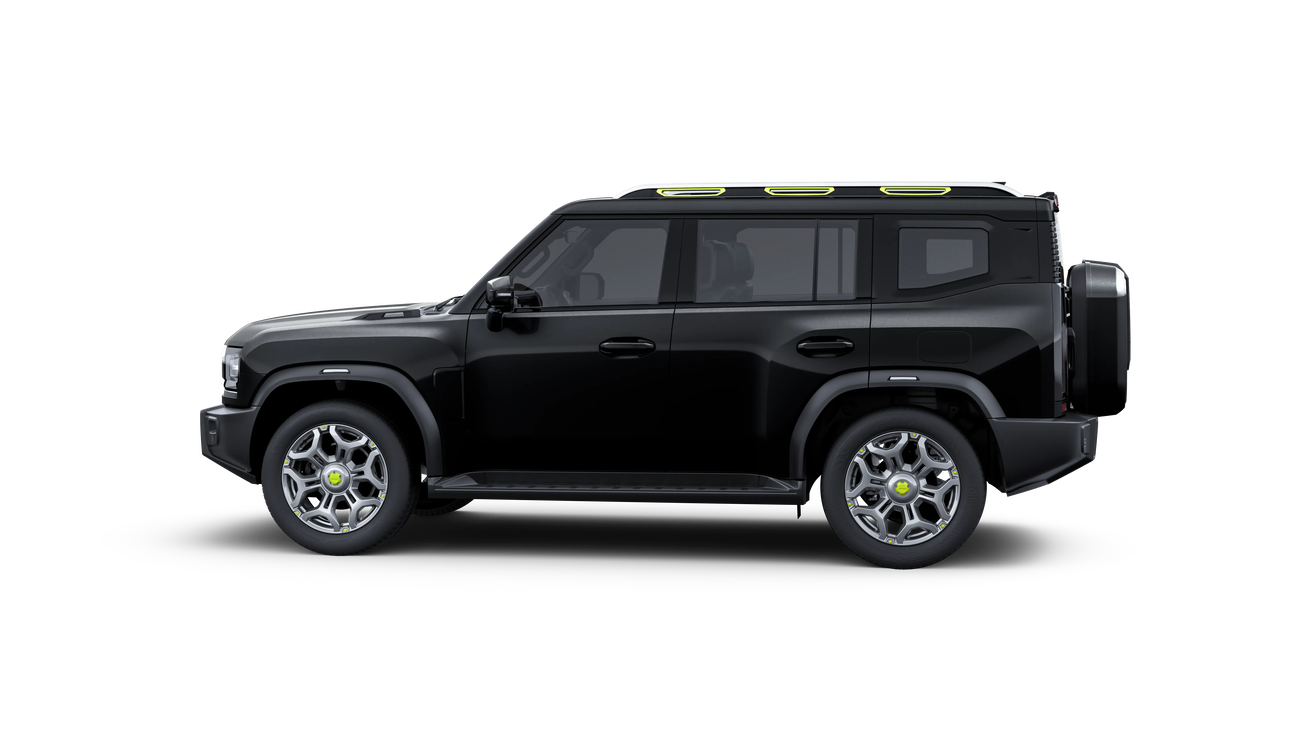 Black 29