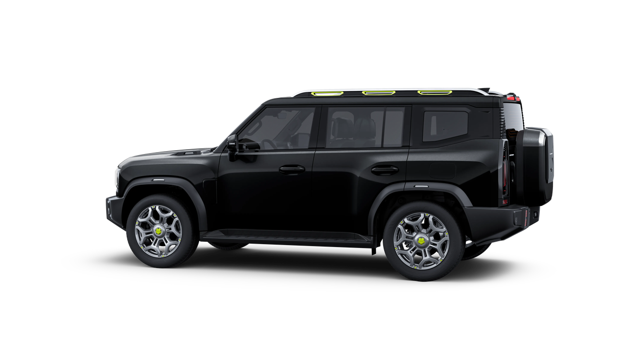 Black 30